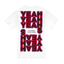 Load image into Gallery viewer, 20 Years To Be Hated Anniversary Tee