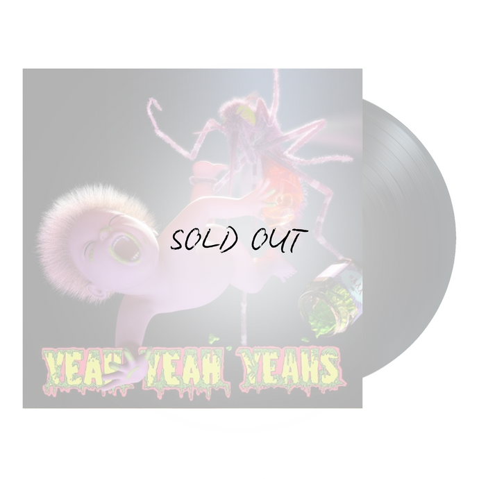 3. MUSIC – Yeah Yeah Yeahs