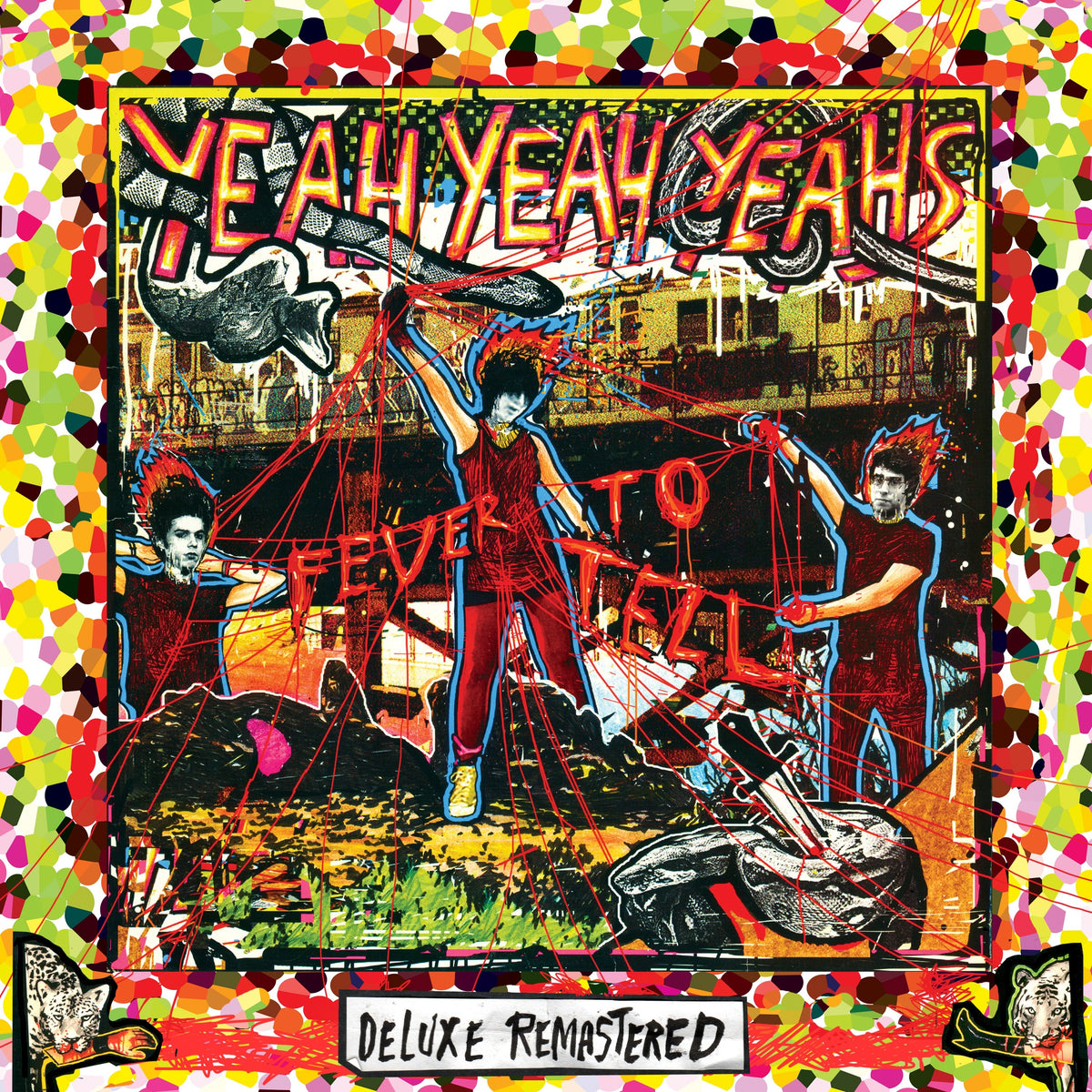 Limited Edition Fever To Tell Deluxe Box Set